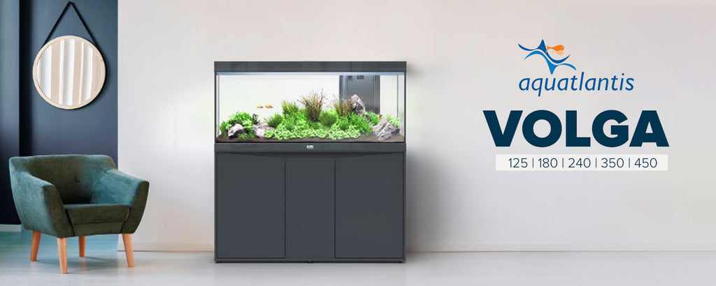 Découvrez VOLGA, les nouveaux aquariums Aquatlantis