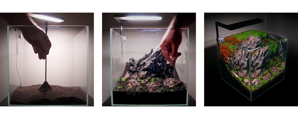 Cómo comenzar su acuario de agua dulce correctamente [la guía]