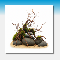 Collection Decoration Aquarium Eau Douce