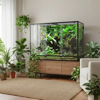Collection Terrarium chez Bao Aquarium