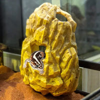 Nascondiglio multi-livello agganciabile REPTIZOO - Nascondiglio multi-livello sospeso