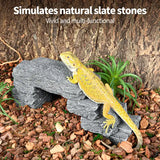 Pietre di Ardesia Multifunzione REPTIZOO - 7 pz