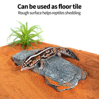 Pietre di Ardesia Multifunzione REPTIZOO - 7 pz