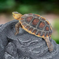 Cueva de piel de calavera de faraón REPTIZOO - 22 cm