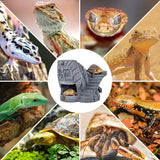 Cueva de piel de calavera de faraón REPTIZOO - 22 cm