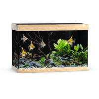 Aquarium Rio 290 LED Chêne Équipé JUWEL - 290L