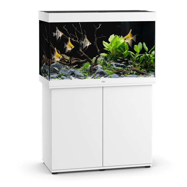 Aquarium Rio 290 LED Blanc Équipé JUWEL - 290L