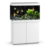 Aquarium Rio 290 LED Blanc Équipé JUWEL - 290L