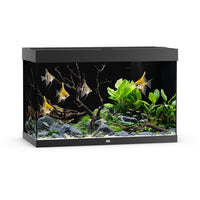 Aquarium Rio 290 LED Noir Équipé JUWEL - 290L