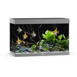 Aquarium Rio 290 LED Gris Équipé JUWEL - 290L