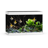 Aquarium Rio 290 LED Blanc Équipé JUWEL - 290L