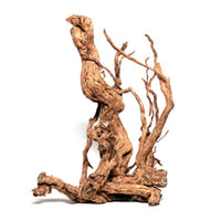 Racine Naturelle Curl Wood AQUADECO - M 60 à 80 cm