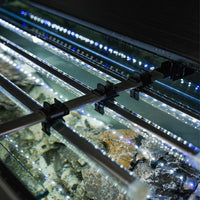 Aquarium Glossy 80 Day & Night Gris Laqué LED AQUAEL - 125L