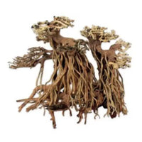 Bois Naturel Arbre Aqua Bonsaï Double PM AQUAVIE - 23 cm