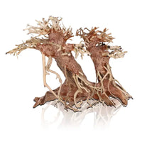 Bois Naturel Arbre Aqua Bonsaï Double PM AQUAVIE - 23 cm