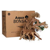 Bois Naturel Arbre Aqua Bonsaï MM AQUAVIE 24 cm