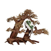 Bois Naturel Arbre Aqua Bonsaï XL+ AQUAVIE - 40 cm