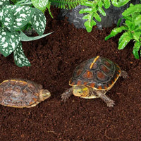 Substrato compresso REPTIZOO Coco Brick - 10L