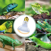 Lampe Basking Spot Daylight REPTIZOO - 75W