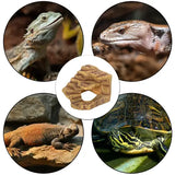 Grotta nascosta nell'angolo del deserto REPTIZOO - 18 o 25 cm