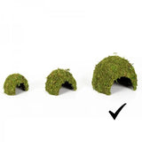 Dôme Mousse Naturelle REPTIZOO - 23 cm