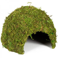 Dôme Mousse Naturelle REPTIZOO - 23 cm