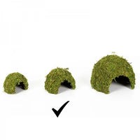 REPTIZOO Cupola in muschio naturale - 17 cm