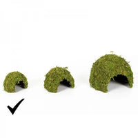 REPTIZOO Cupola in muschio naturale - 11 cm