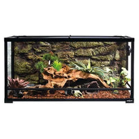 Sfondo Decorazione Sfondo REPTIZOO - 120 x 45 cm
