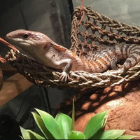 reptilien hängematte REPTIZOO Dreieck-Reptilien-Hängematte