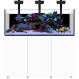 Infinia Reef 190.5 Blanc WATERBOX - Aquarium Récifal 517 L