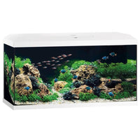 Acquario Rio 240 Juwel equipaggiato con marrone LED - 240L