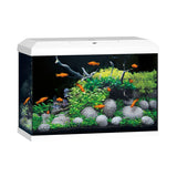Aquarium Primo 70 LED Blanc Équipé JUWEL - 70L