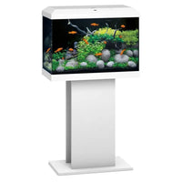 Acquario Primo 70 LED bianco equipaggiato Juwel - 70L