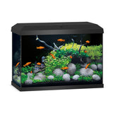 Aquarium Primo 70 LED Noir Équipé JUWEL - 70L