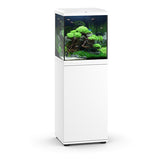Acquario Rio 125 LED Brun equipaggiato Juwel - 125L