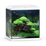 Acquario Rio 125 LED Brun equipaggiato Juwel - 125L