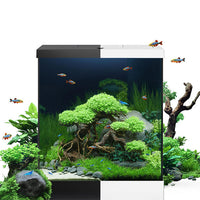Acquario Rio 125 LED Brun equipaggiato Juwel - 125L