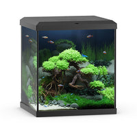 Acquario Rio 180 LED Brun equipaggiato Juwel - 180L