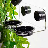 Mangeoire Double Translucide REPTIZOO - 15 cm