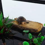 Mangeoire Double 2 en 1 ou Rampe Tortues REPTIZOO - 20 cm