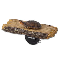 Mangeoire Double 2 en 1 ou Rampe Tortues REPTIZOO - 20 cm
