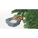 Mangeoire Magnétique Pierre REPTIZOO - 12 cm