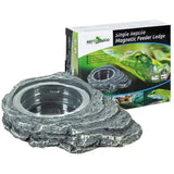 Mangeoire Magnétique Pierre REPTIZOO - 12 cm