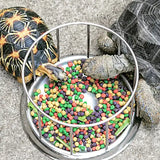 Mangeoire pour Tortue REPTIZOO - 11,5 cm