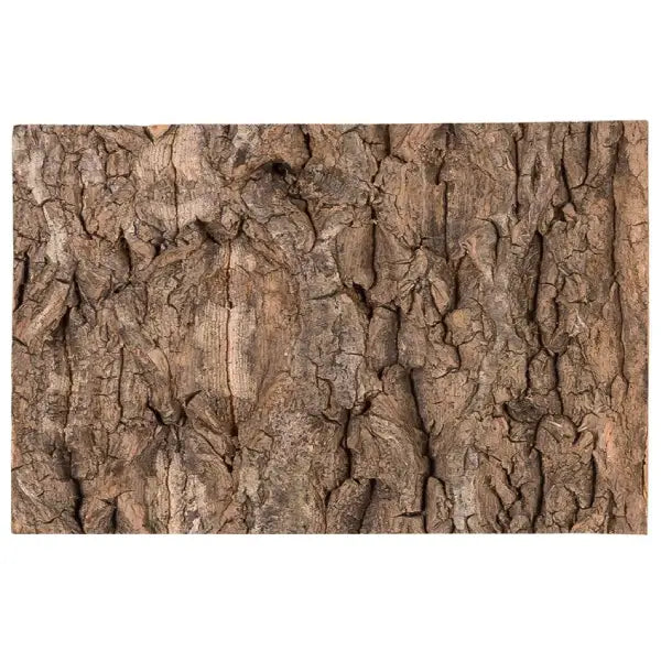 Natuurkurktegel REPTIZOO Kurk achterplaat - 20 x 15 cm