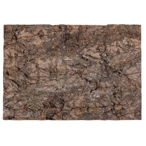 Natuurlijke kurktegel REPTIZOO kurken achterplaat - 20 x 30 cm