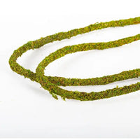 Liane Muschio di Vite Naturale REPTIZOO - 200 x 1,5 cm