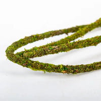 Liane Muschio di Vite Naturale REPTIZOO - 200 x 1 cm