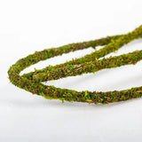 Liane Muschio di Vite Naturale REPTIZOO - 200 x 1 cm